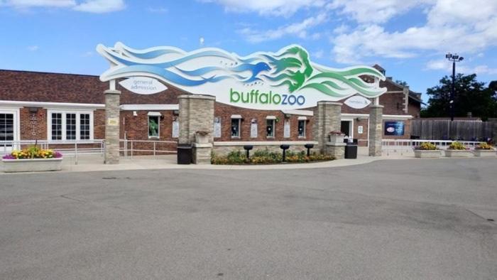 Welcome To Our Cozy Krib Buffalo Exteriér fotografie
